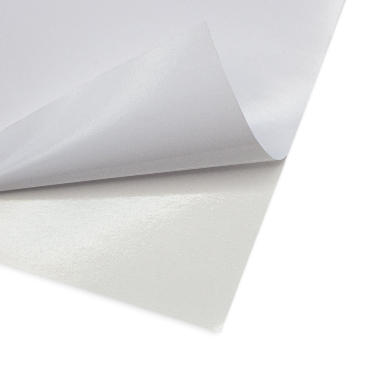 Custom Size Backlit Film Printing - Adhesive Back – Signworld America