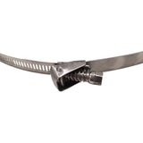 Stainless Steel Worm Drive Clamp (Pack of 4)